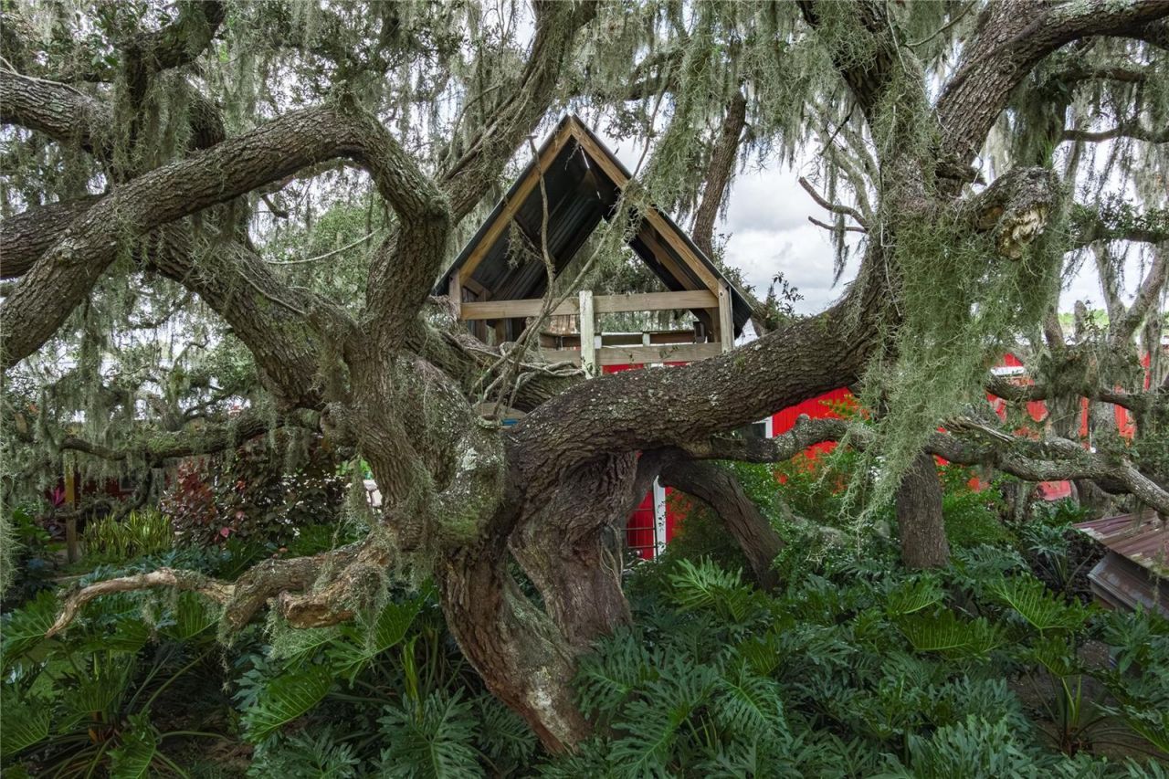 1126 & 1144 County Road 665, Ona, FL 33865 Photo