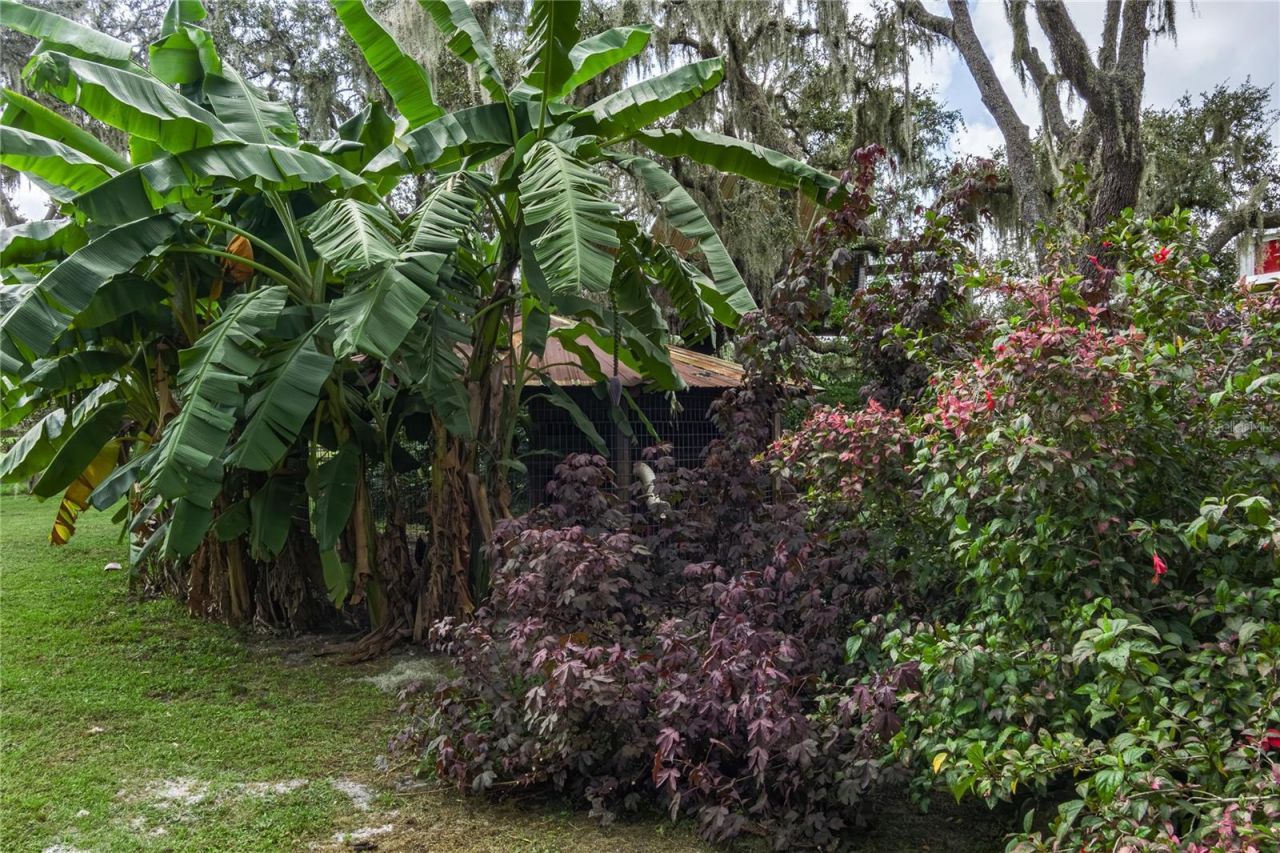 1126 & 1144 County Road 665, Ona, FL 33865 Photo