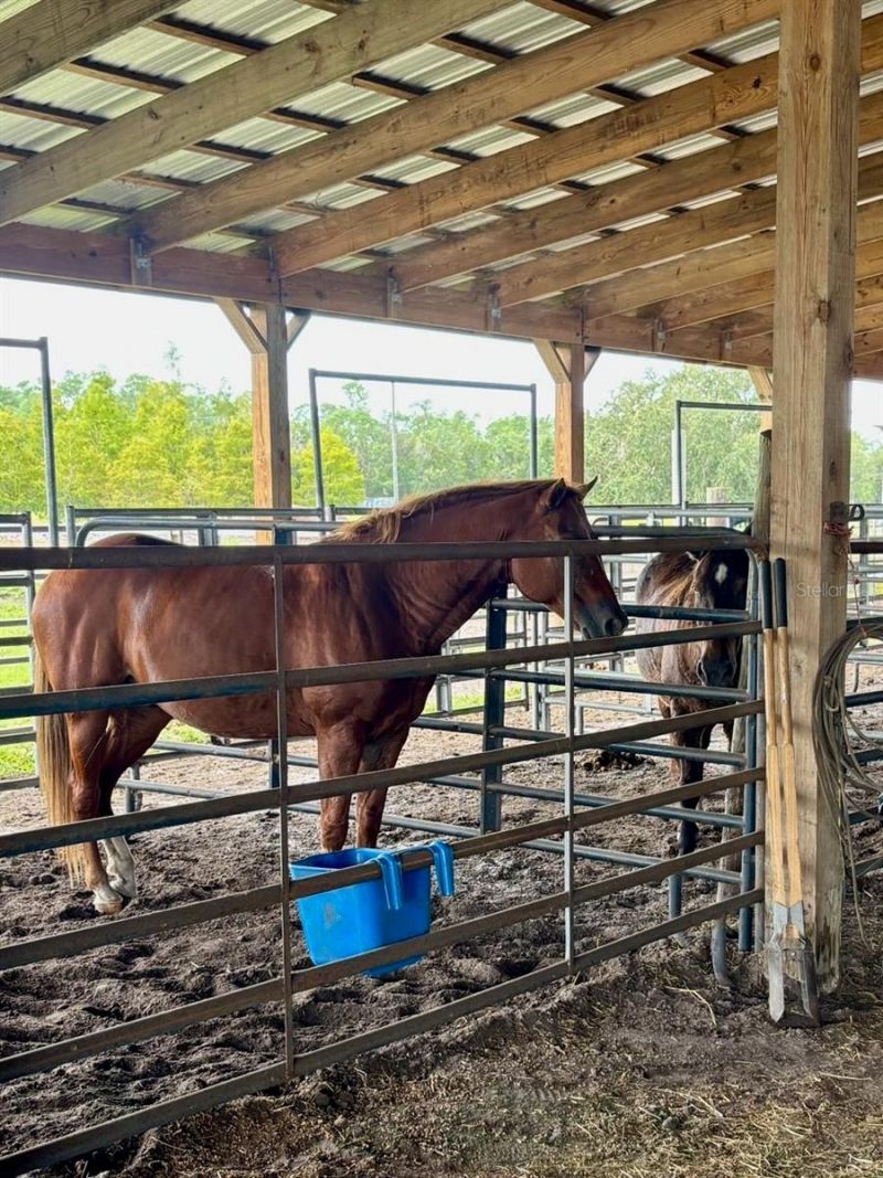 1126 & 1144 County Road 665, Ona, FL 33865 Photo