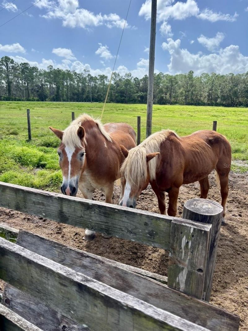 1126 & 1144 County Road 665, Ona, FL 33865 Photo