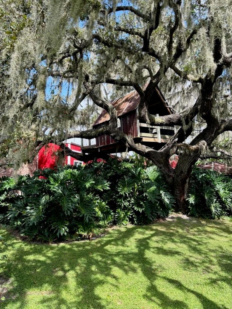 1126 & 1144 County Road 665, Ona, FL 33865 Photo