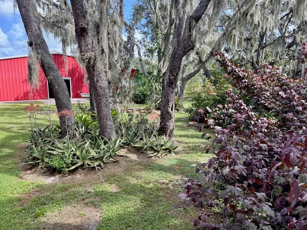 1126 & 1144 County Road 665, Ona, FL 33865 Photo