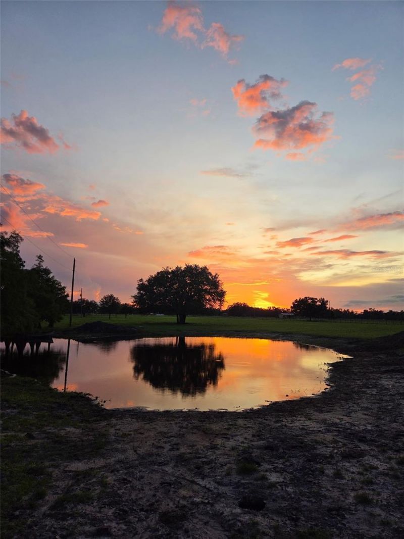 1126 County Road 665, Ona, FL 33865 Photo