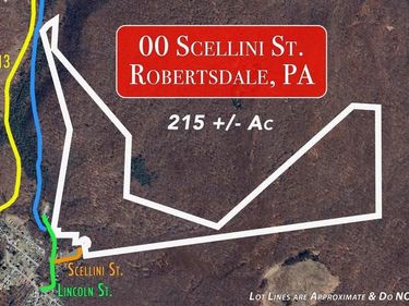 00 SCELLINI STREET, ROBERTSDALE, PA 16674