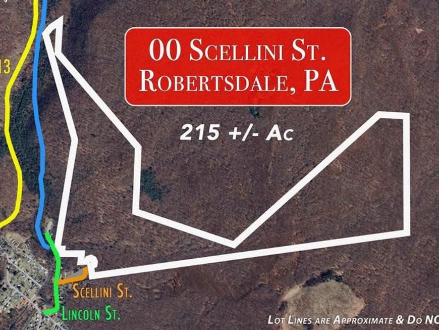 00 Scellini Street, Robertsdale, PA 16674 Main Photo