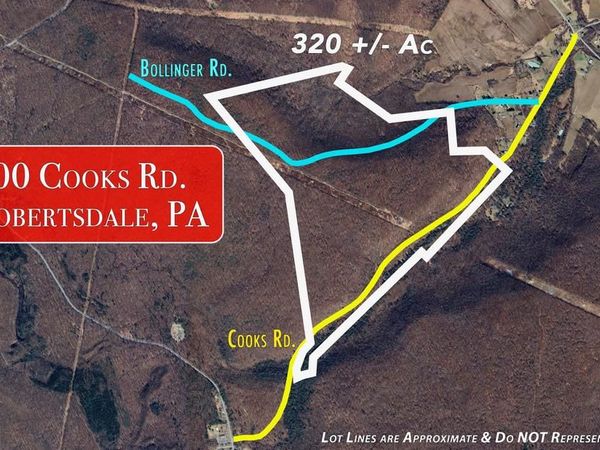00 COOKS ROAD, ROBERTSDALE, PA 16674