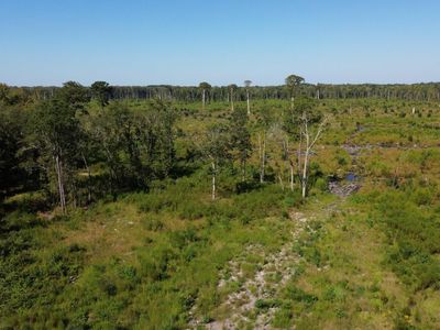 0 Hwy 63, Ruffin, SC 29475