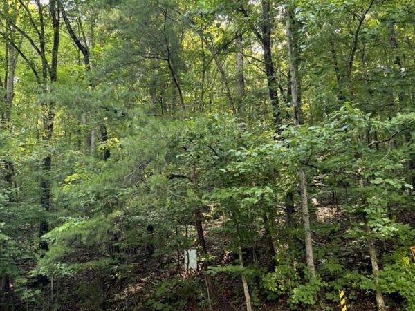 Lot 167 Laurel Lake Circle, Madisonville, TN 37354