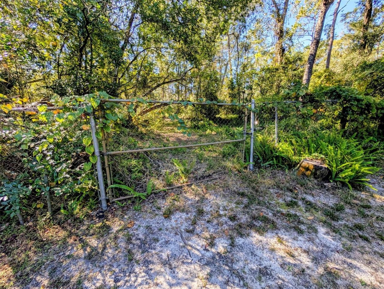 20422 Canvas Back Road, Altoona, FL 32702 Photo