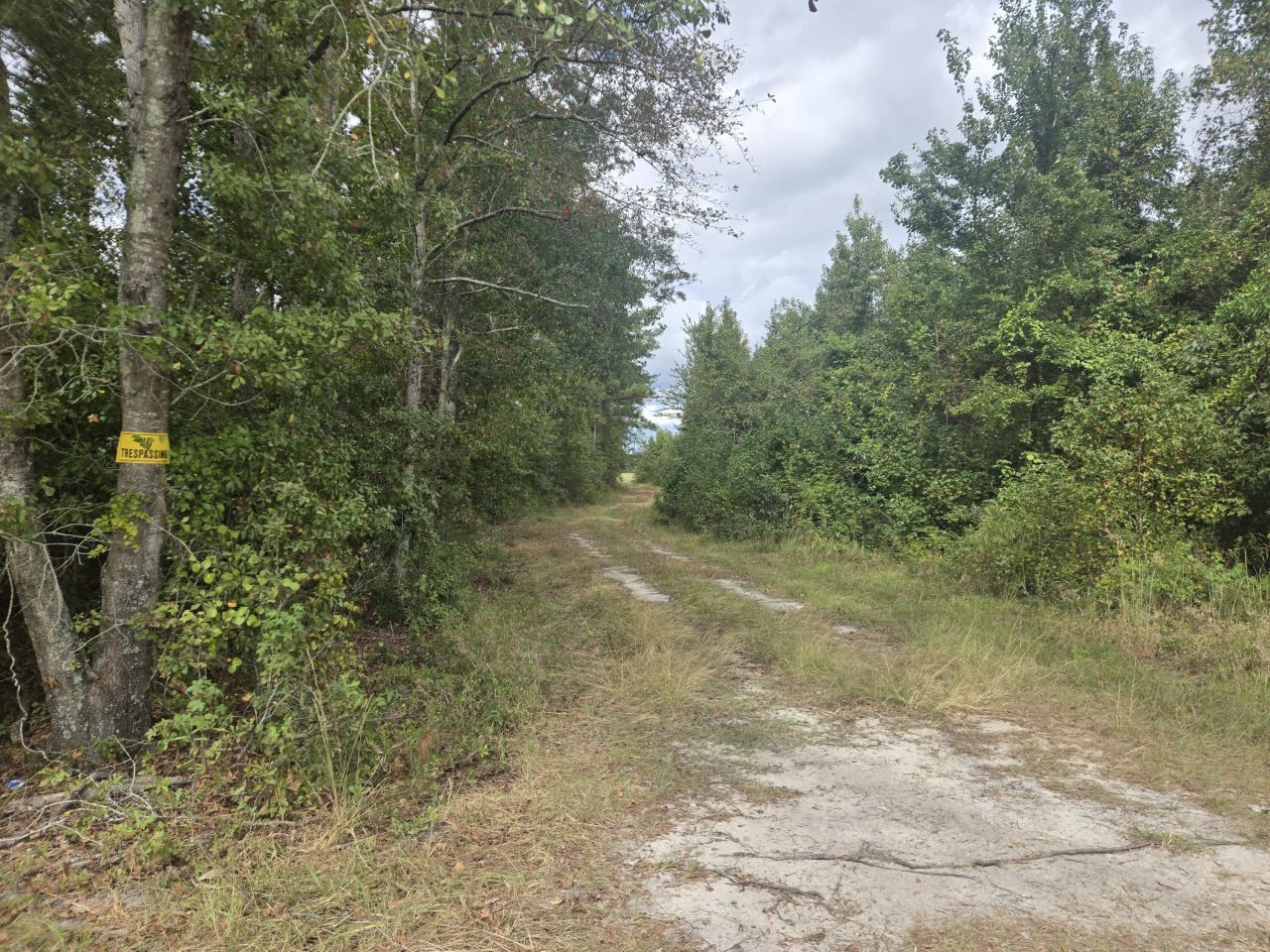 0 Blewer Street Photo 10