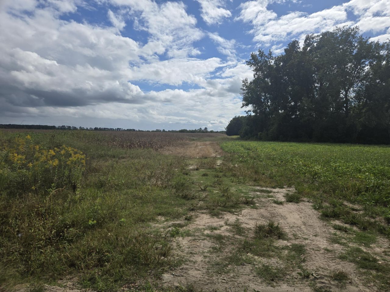 0 Blewer Street Photo 11