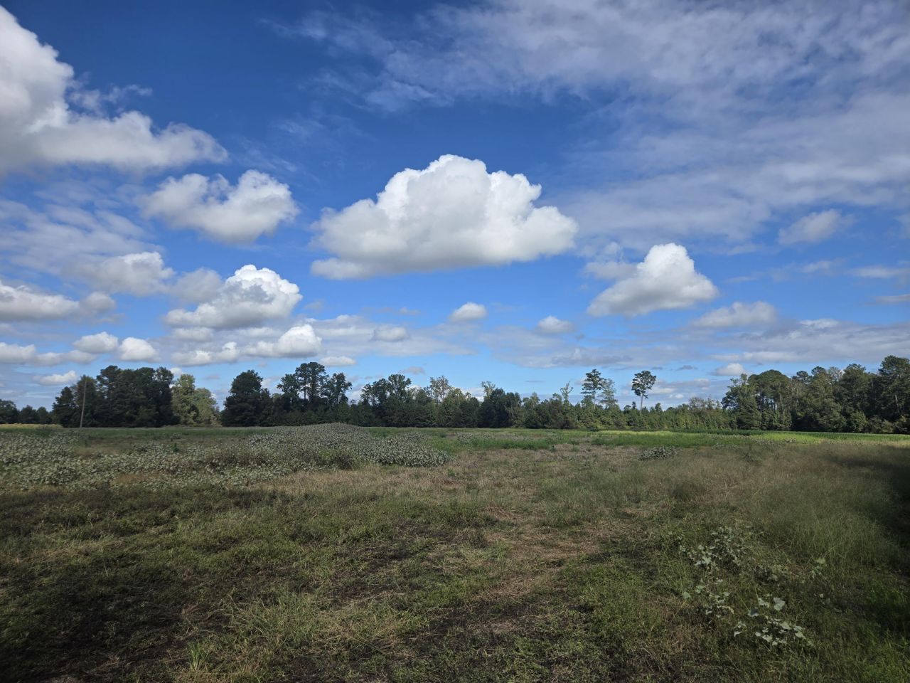 0 Blewer Street Photo 12