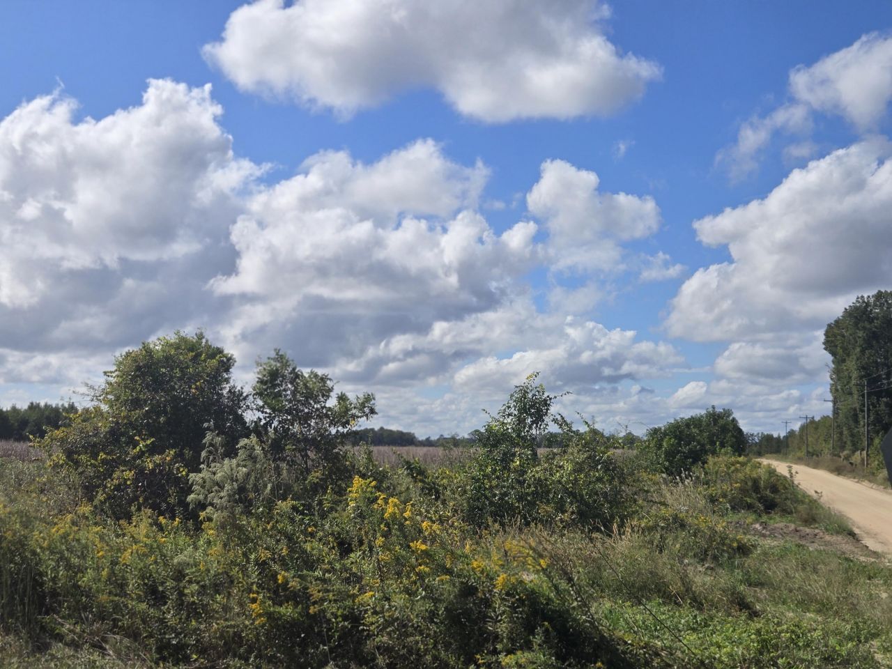 0 Blewer Street Photo 15