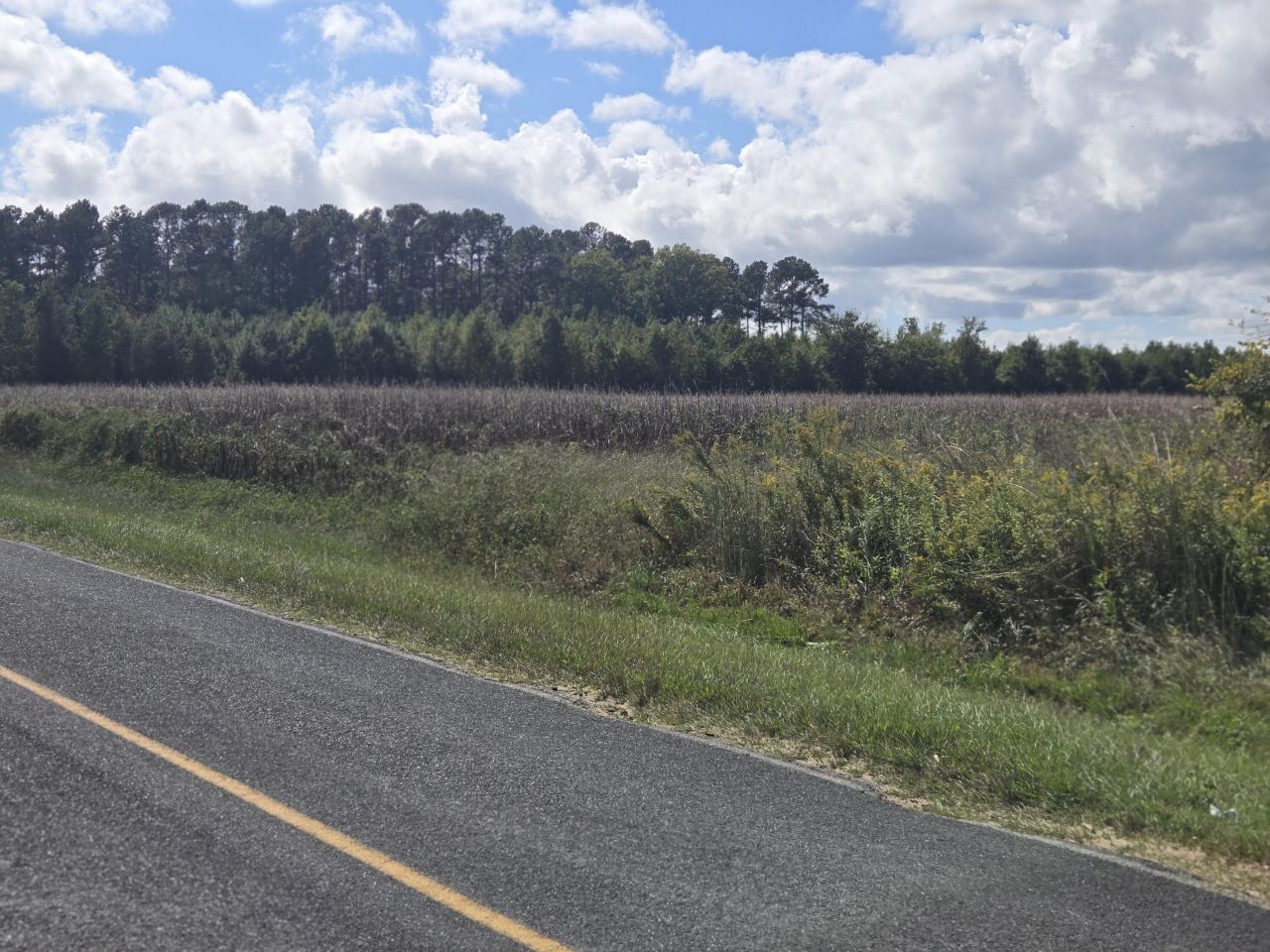 0 Blewer Street Photo 7