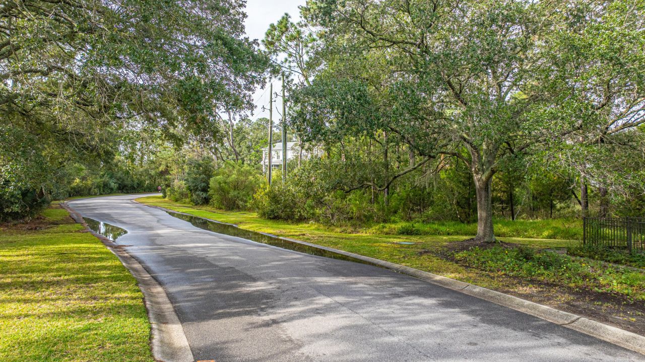 1250 Seaside Plantation Drive Photo 40