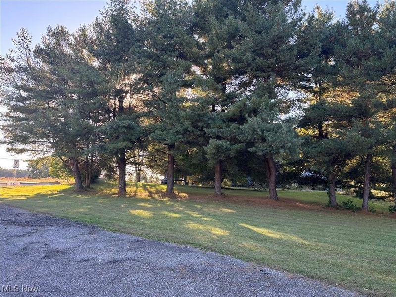 8085 Main Street, Kinsman, OH 44428 Photo 9