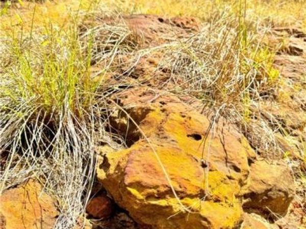 TBD Rabel Road , Rosanky, TX 78953