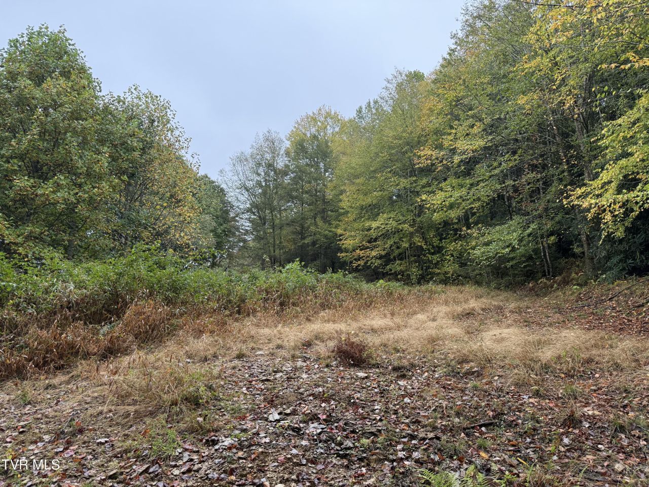 0 Clarktown Road, Roan Mountain, TN 37687 Main Photo