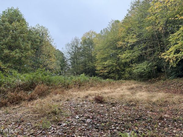 0 Clarktown Road, Roan Mountain, TN 37687