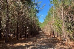 1938 Old Georgetown Road W photo 4