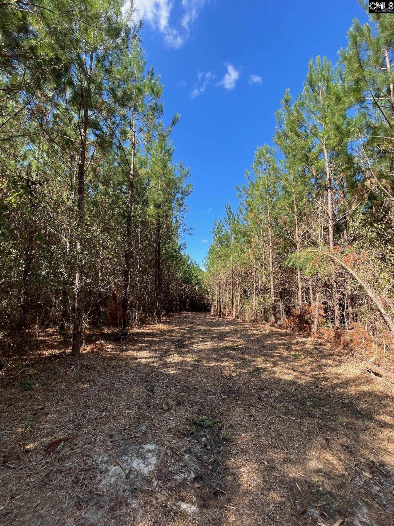 1938 Old Georgetown Road W Photo 4