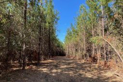 1938 Old Georgetown Road W photo 4