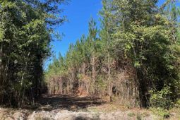 1938 Old Georgetown Road W photo 4