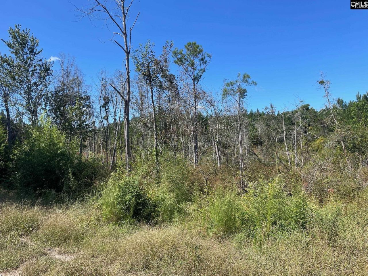 1938 Old Georgetown Road W Photo 7