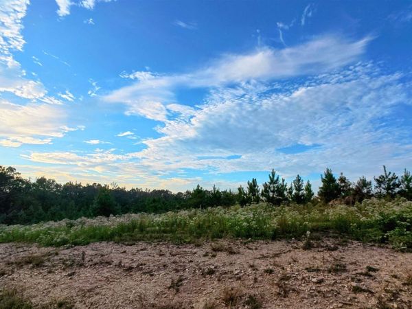 xx Roxanne Road, Lonsdale, AR 72087