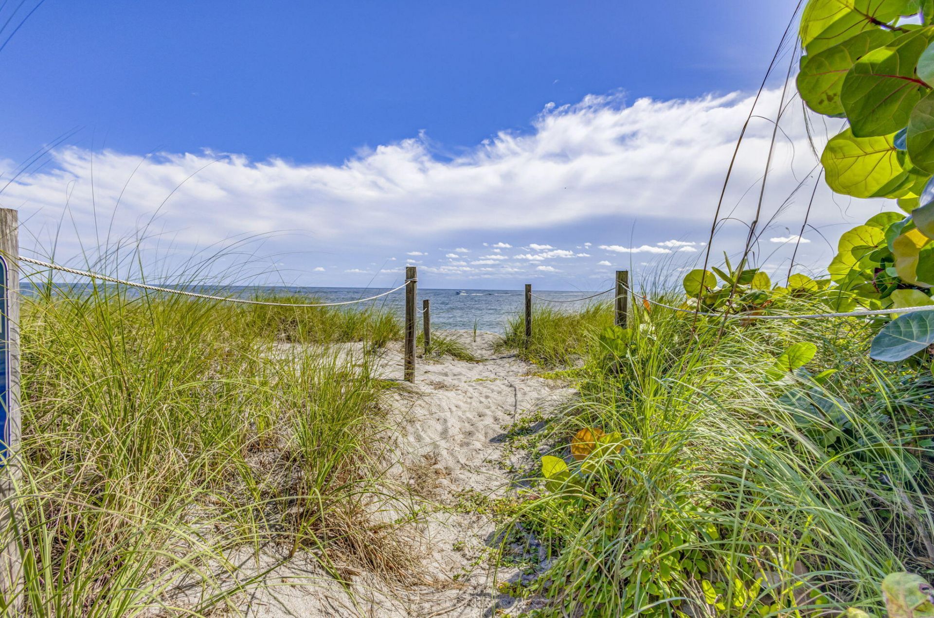 100 Ocean Trail Way, Unit 305, Jupiter, FL 33477 Photo