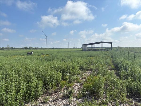 TBD 000 FM 1838, Dawson, TX 76639