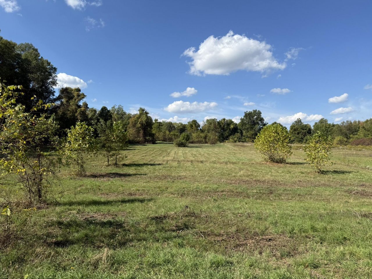 Vl 4.59ac. Cr 215, Bangor, MI 49013 Main Photo