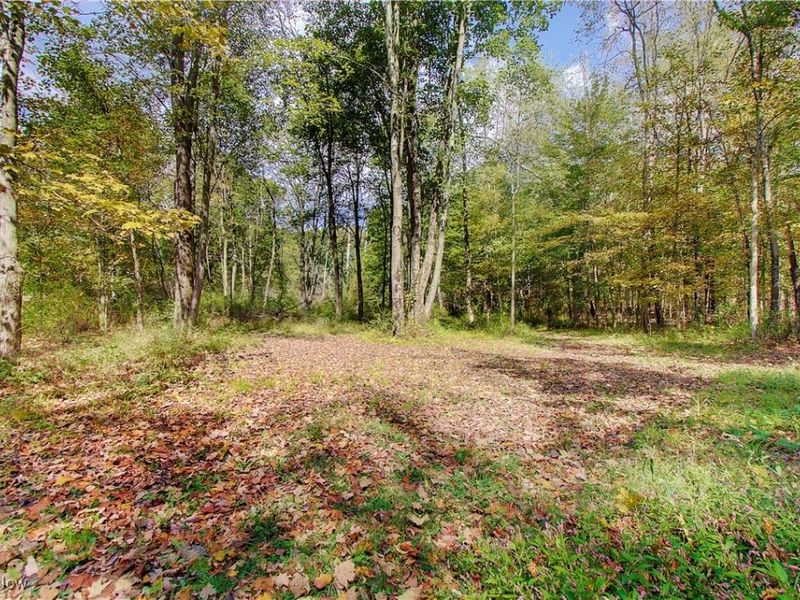 14015 Stimmel Street NE, Paris, OH 44669 Photo 50