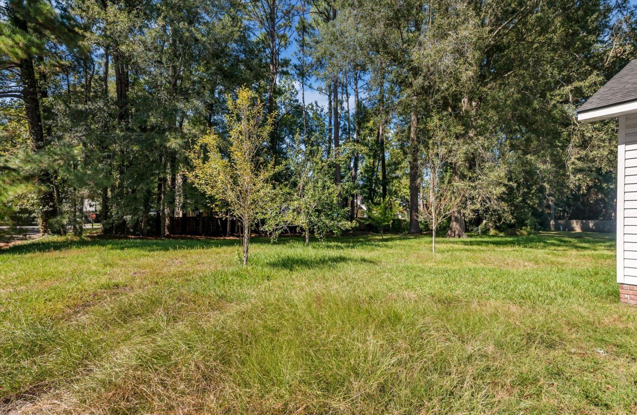 116 Palmetto Bluff Drive Photo 36