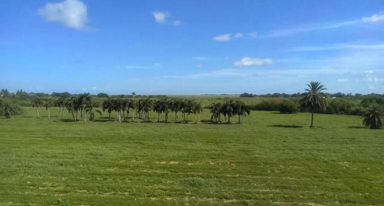 470 Us Hwy 27 N, South Bay, FL 33493 Photo