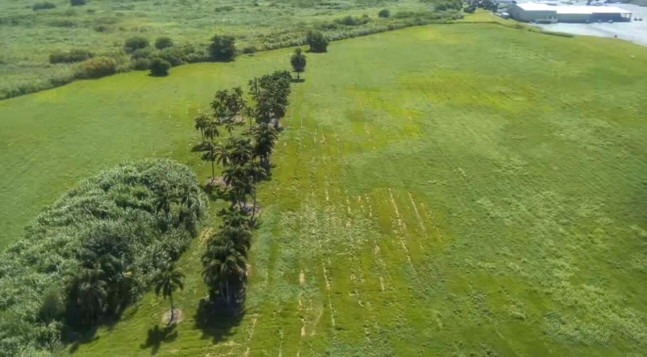 470 Us Hwy 27 N, South Bay, FL 33493 Photo