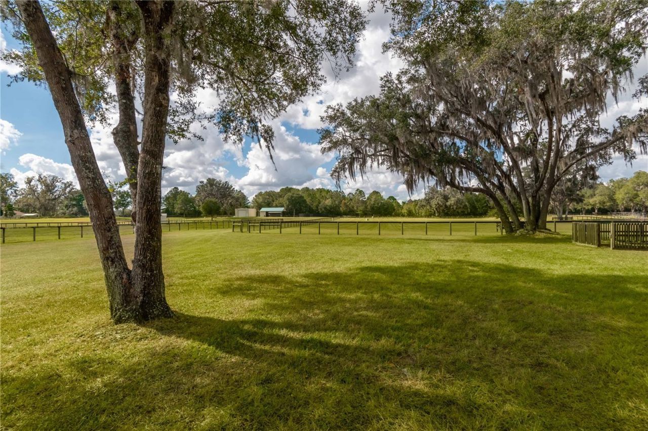 6140 NW 145th Avenue Road, Morriston, FL 32668 Photo