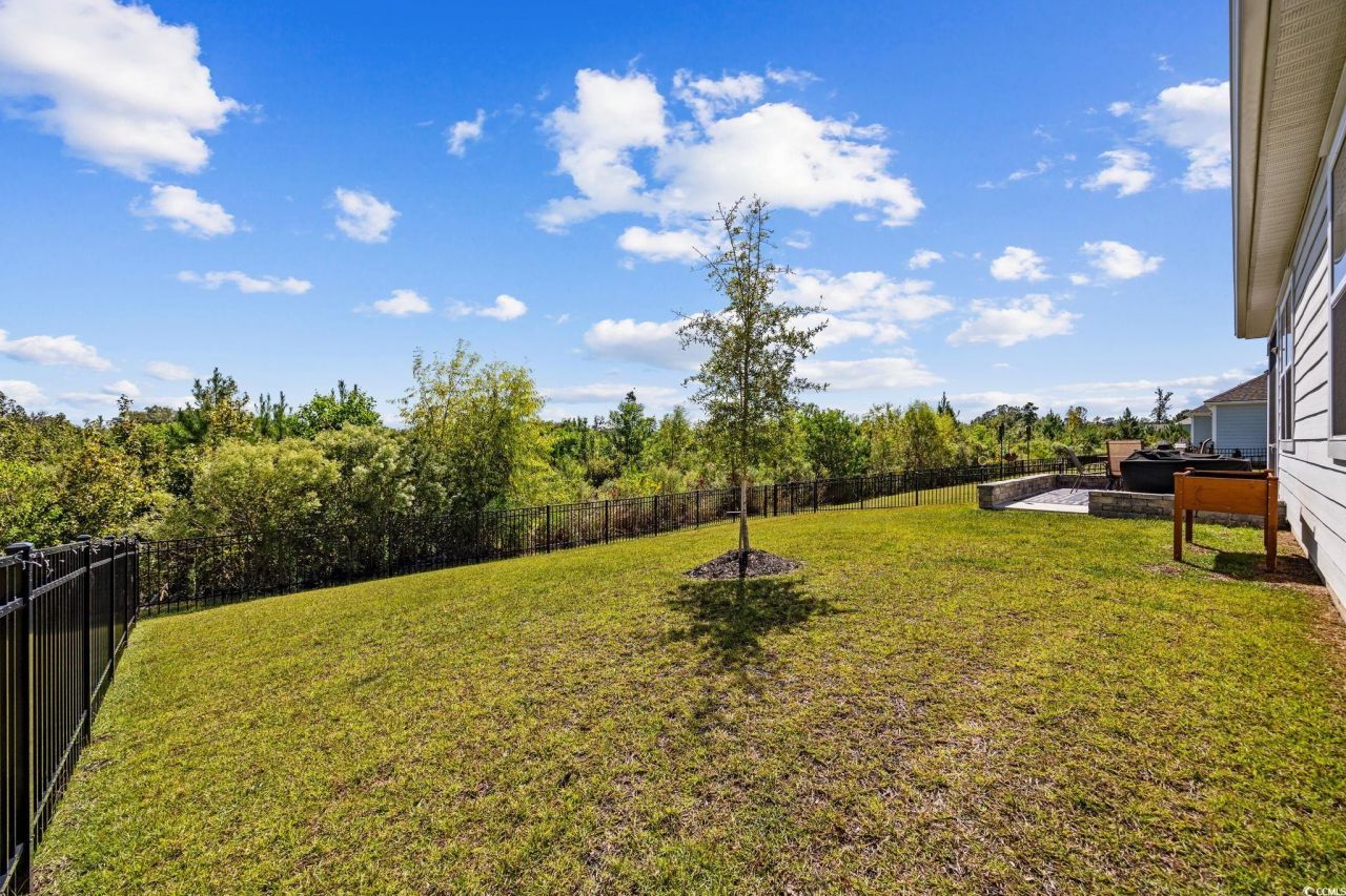 1040 Black Lake Way Photo 32