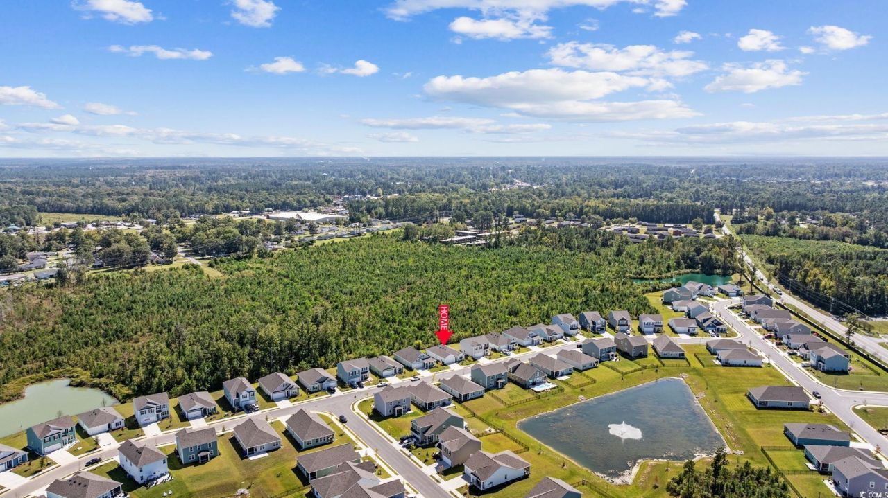 1040 Black Lake Way Photo 34