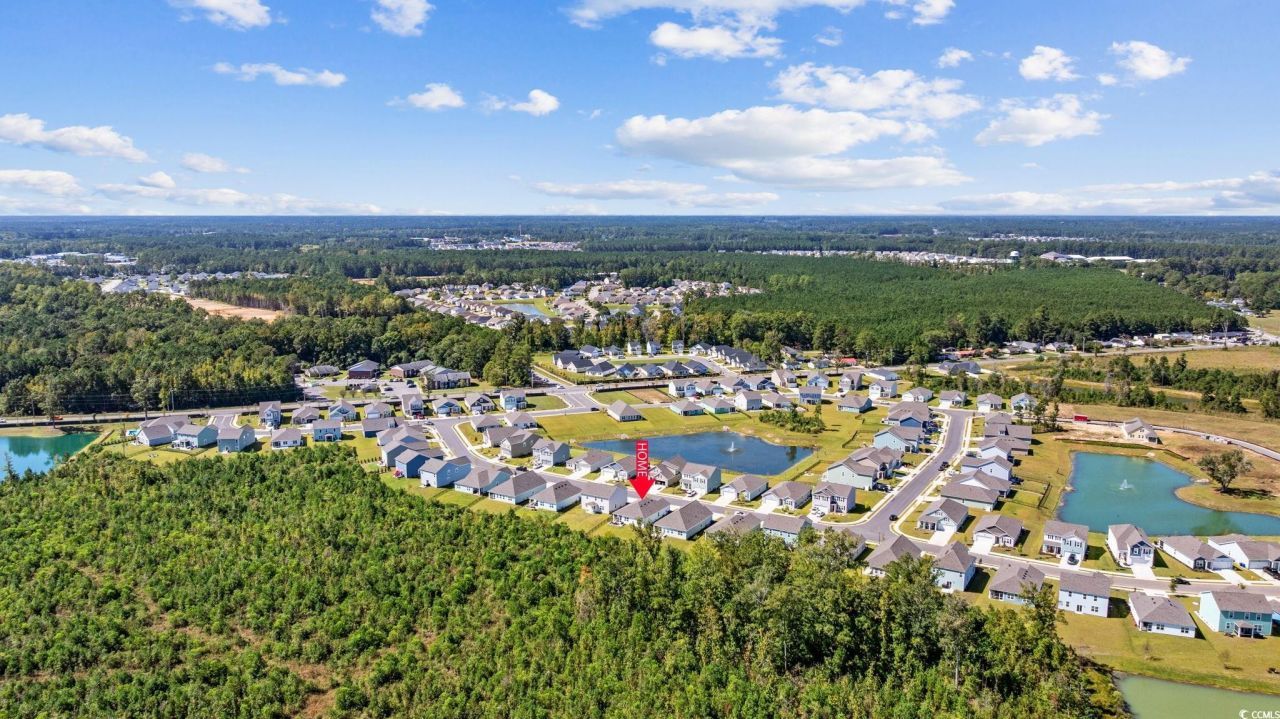 1040 Black Lake Way Photo 35