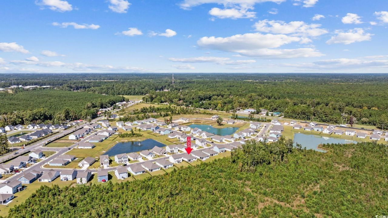 1040 Black Lake Way Photo 36