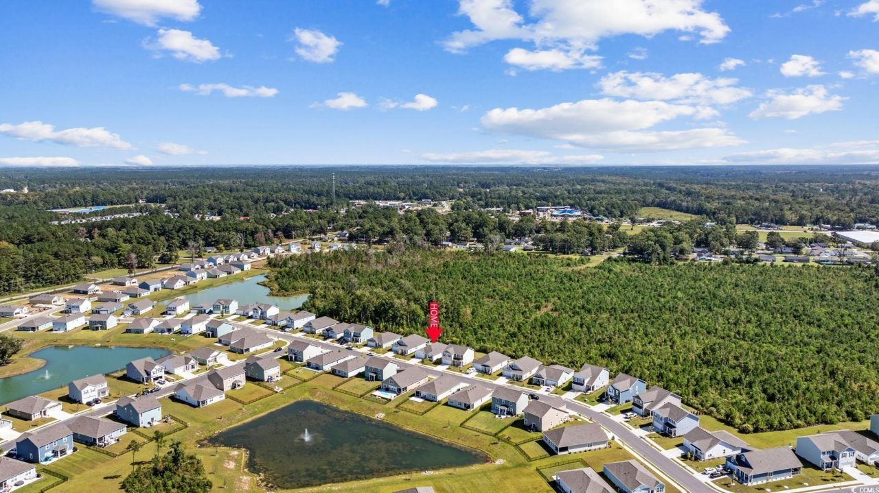 1040 Black Lake Way Photo 5