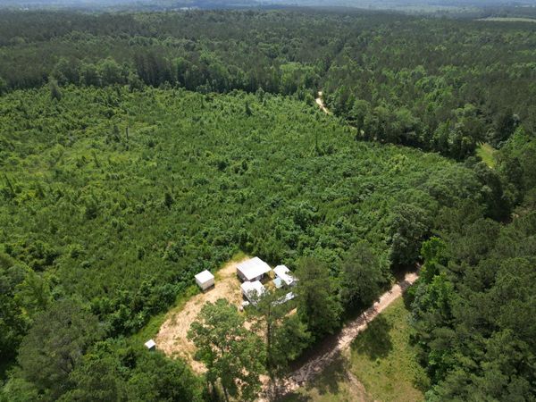 County Road 2337, Bay Springs, MS 39422