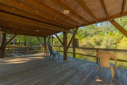 1239 Holly Ridge Lane photo 4
