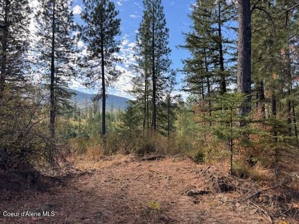 NKA Parcel 2 Dole Camp Road, Tensed, ID 83870