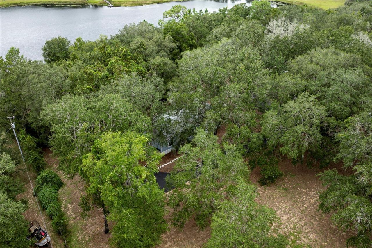 10135 N Em En El Grove Road, Leesburg, FL 34788 Photo