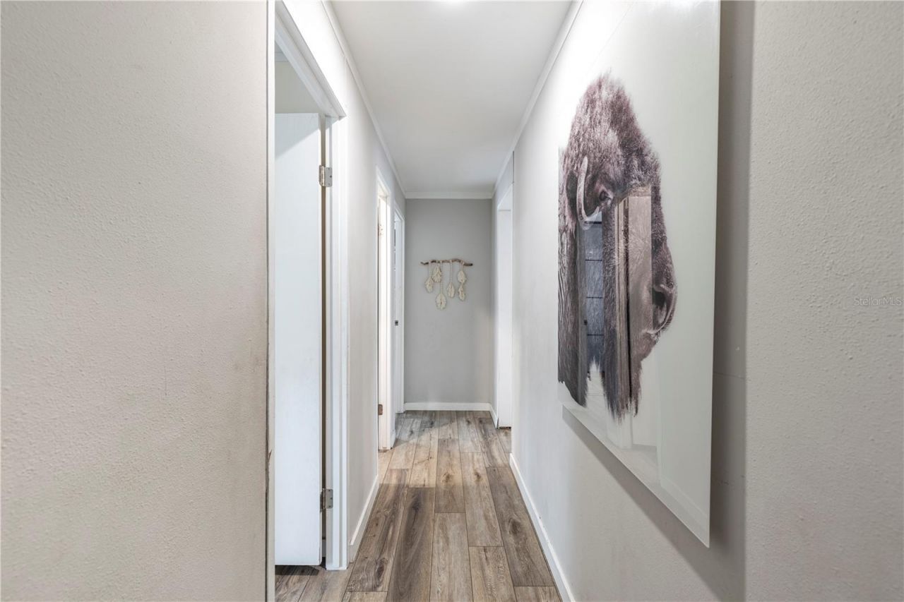 10135 N Em En El Grove Road, Leesburg, FL 34788 Photo