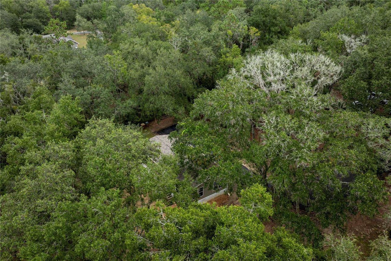 10135 N Em En El Grove Road, Leesburg, FL 34788 Photo