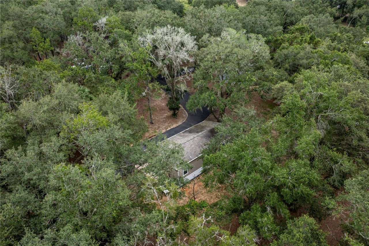 10135 N Em En El Grove Road, Leesburg, FL 34788 Photo
