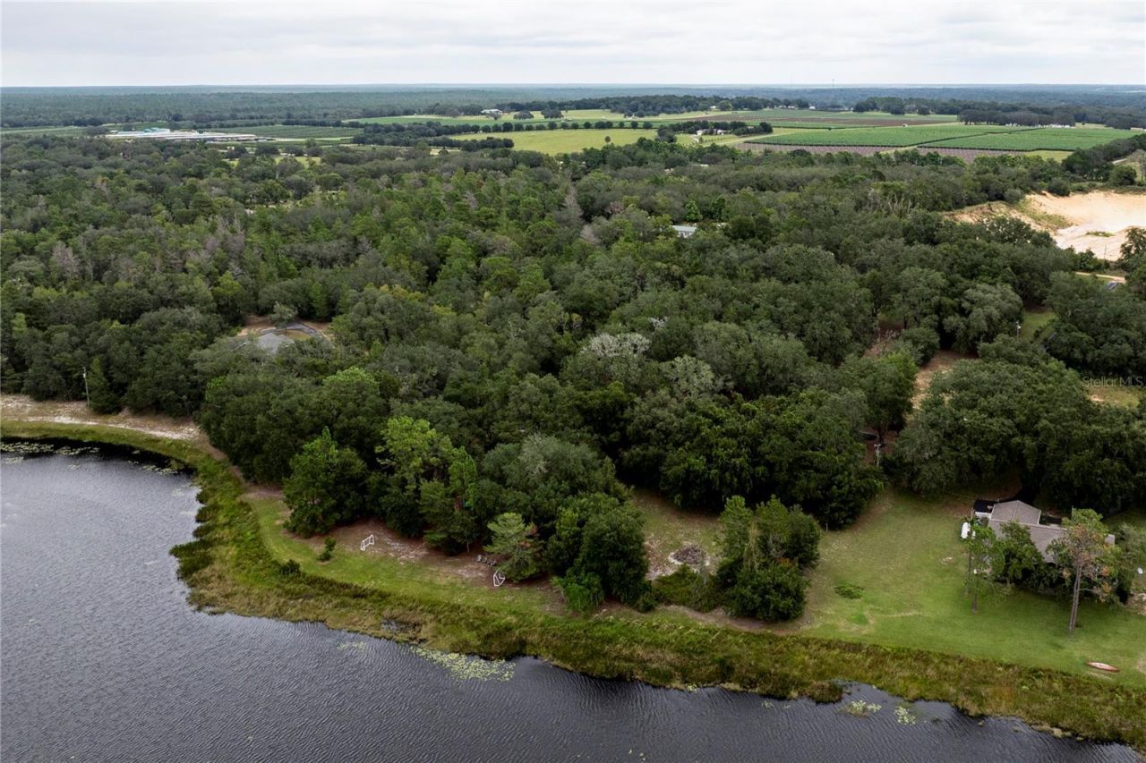 10135 N Em En El Grove Road, Leesburg, FL 34788 Photo